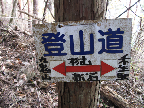 20181126hike (291)